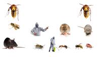 Residential Pest Control Melbourne image 5